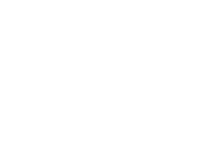 Lippi Rappresentanze